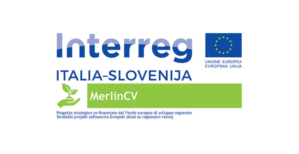 Logo MerlinCV.jpg